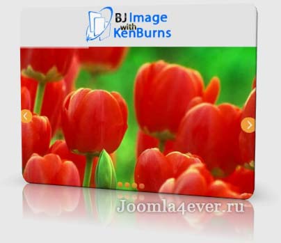bj-image-with-kenburns