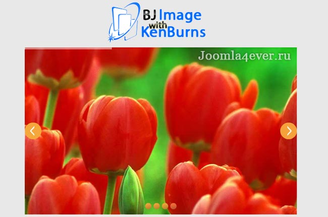 bj-image-with-kenburns