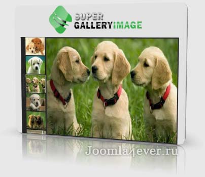 bj-super-gallery-image