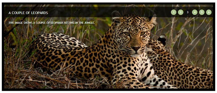 Image-Slider-PRO1