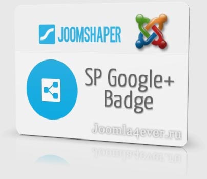 SP-Google-Badge