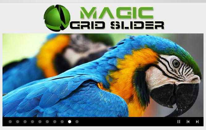 Magic-Grid-Slider1