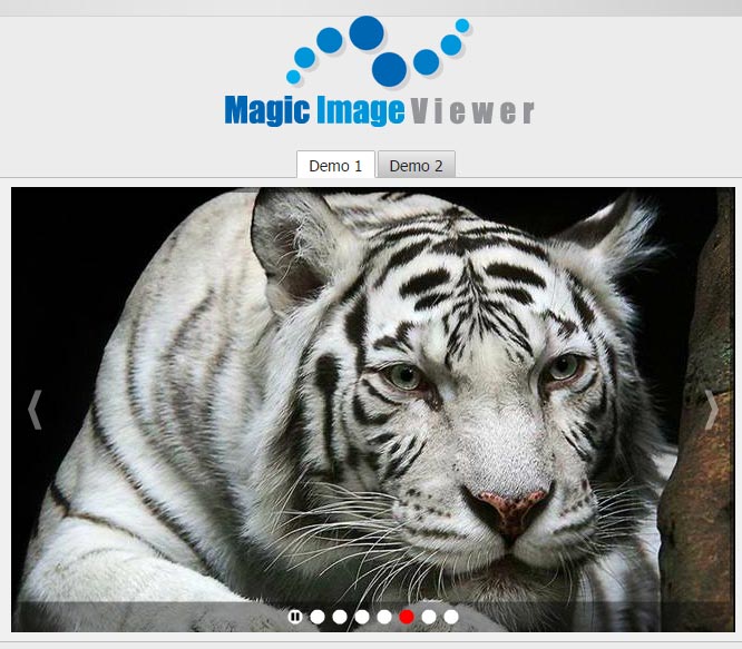 Magic-Image-Viewer1