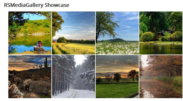 RSShowcase1