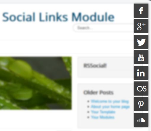 RSSocial1
