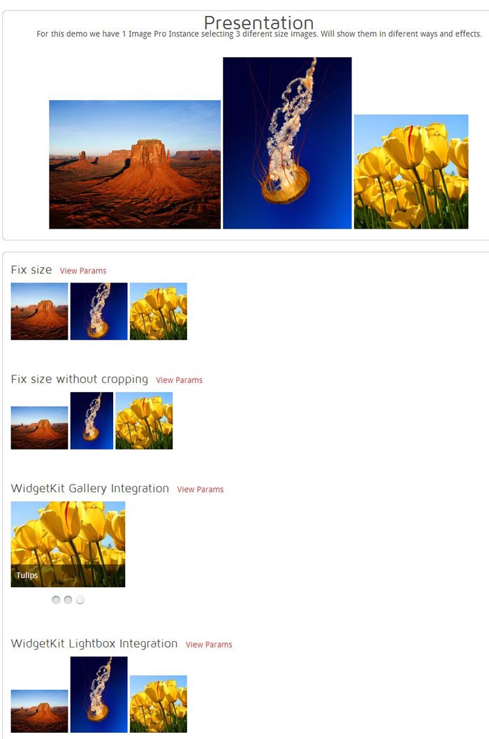 Image-Pro1