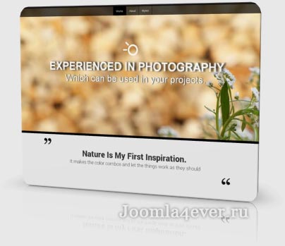responsive portfolio