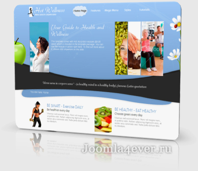 wellness