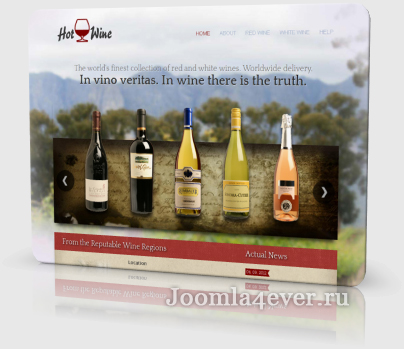 wine