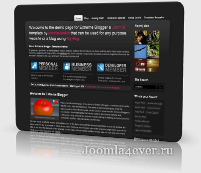 JJ Extreme Blogger