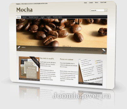 JJ Mocha
