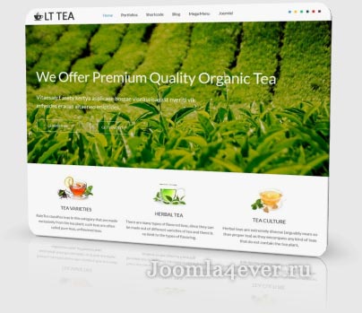 lt-tea
