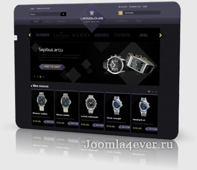 leo watches