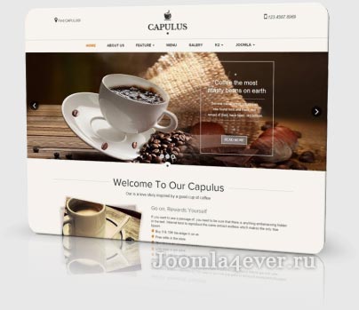 capulus