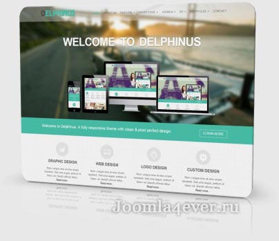 delphinus