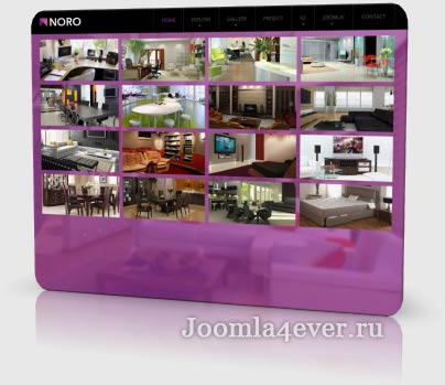 noro