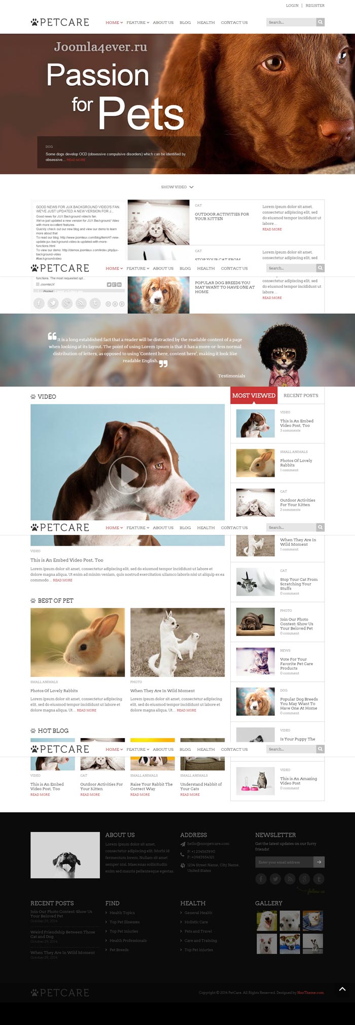 petcare1
