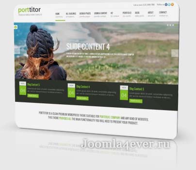 porttitor