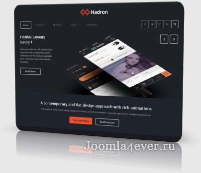 hadron