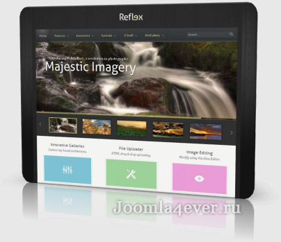 Reflex