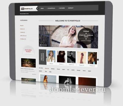 portfolio