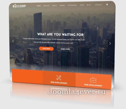 bizcorp