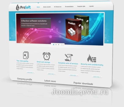 software