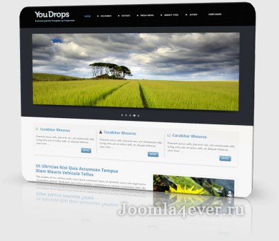 youdrops