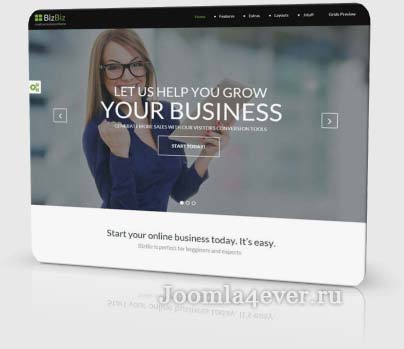 bizbiz