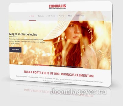 convalis