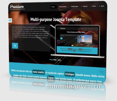 pretium