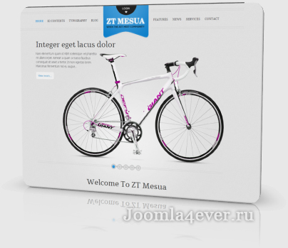 zt_mesua