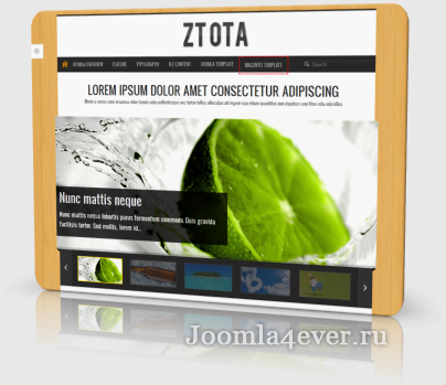 zt_ota