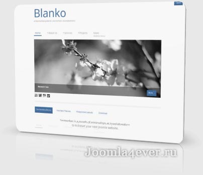 blanko
