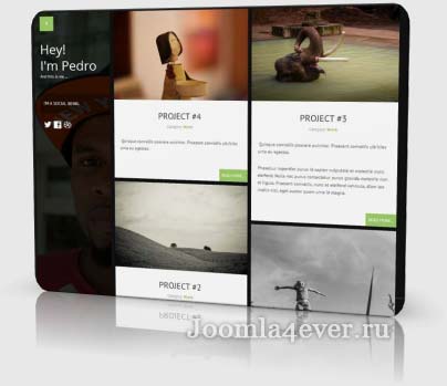 bambootheme